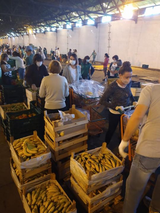Foto 10 de 15 — Voluntários começam a separação de alimentos; entenda como será a distribuição